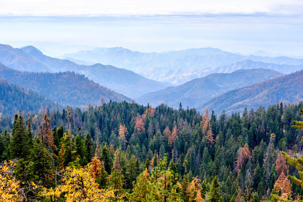 Sequoia National Park mountain scenic landscape at autumn. California, United States